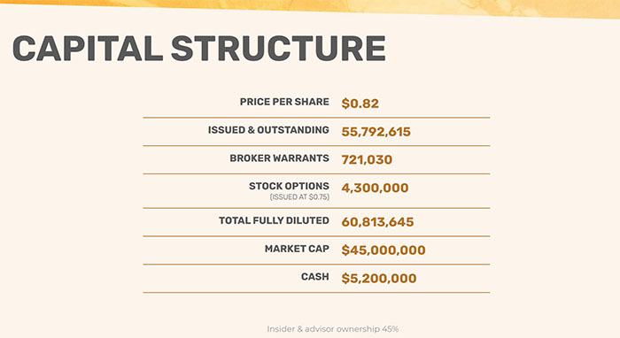 capital structure