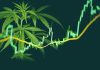 Weed Stocks Poised for Rebound with US Legalization in Sight