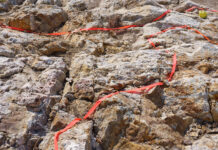 Proving Up High-Grade Gold At District Scale shovelnose