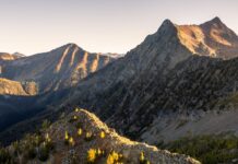 Dollar Store Shopping During Tax Loss Silly Season In The Juniors