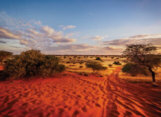 North Arrow Minerals: Building Momentum on Botswana’s Gold Belt North Arrow